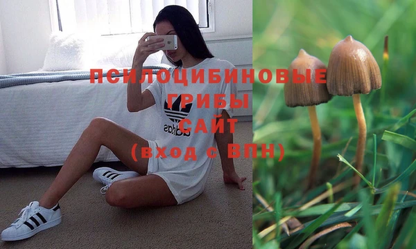 кокаин Дмитровск