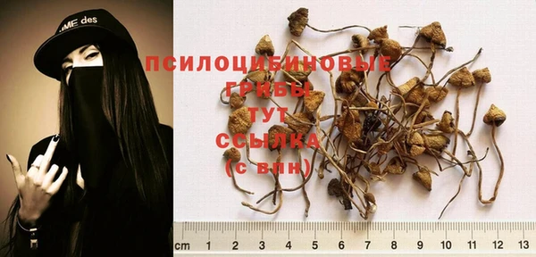 синтетический гашиш Дмитриев